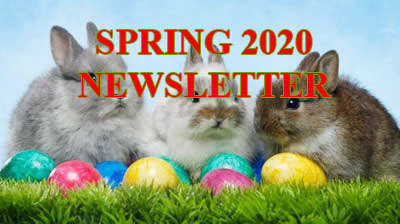 autumn 2019 newsletter